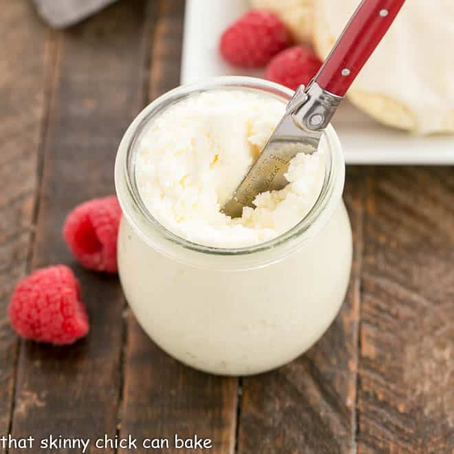 Homemade Instant Pot Yogurt – Life, with Clotted Cream